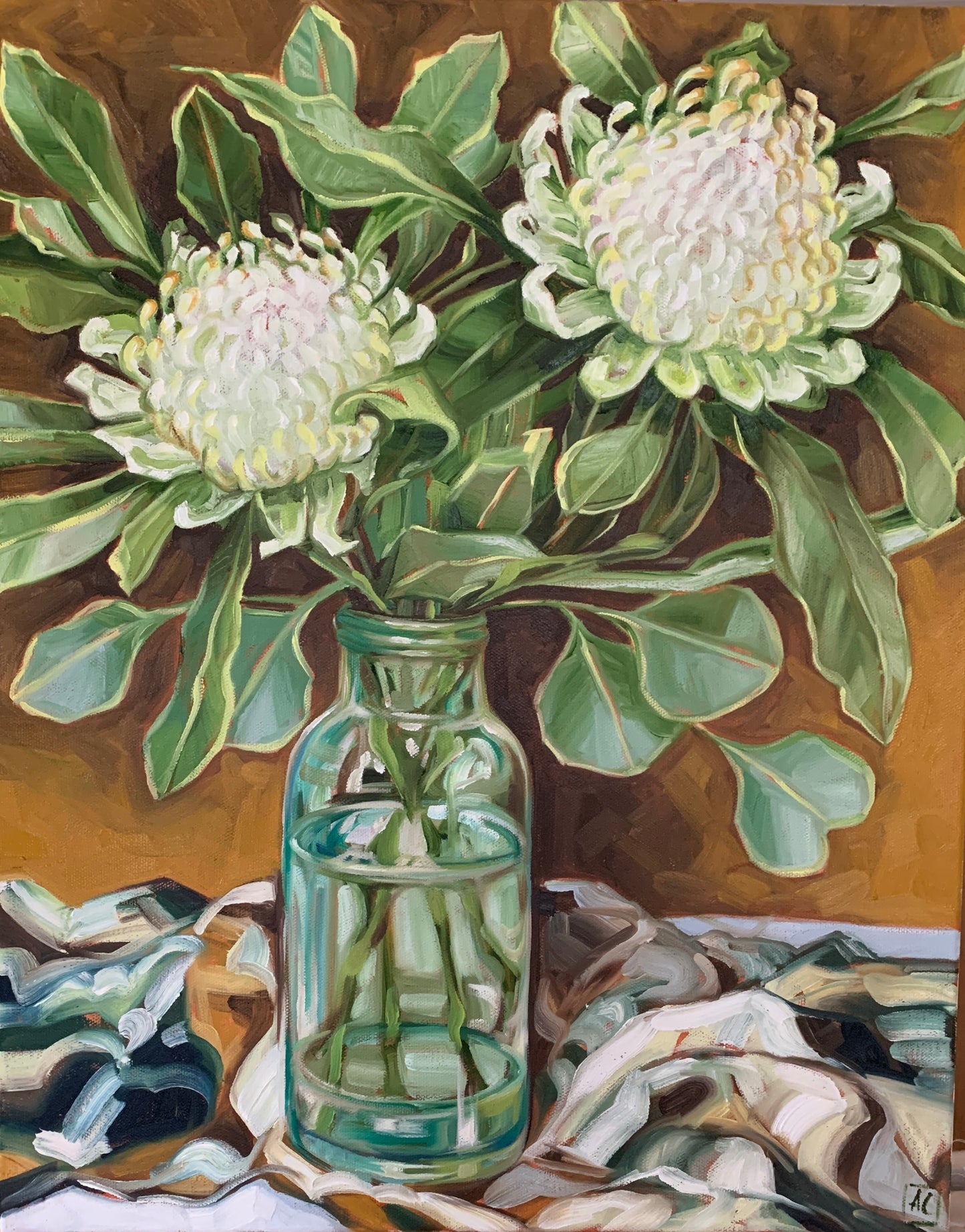 White Waratah in glass