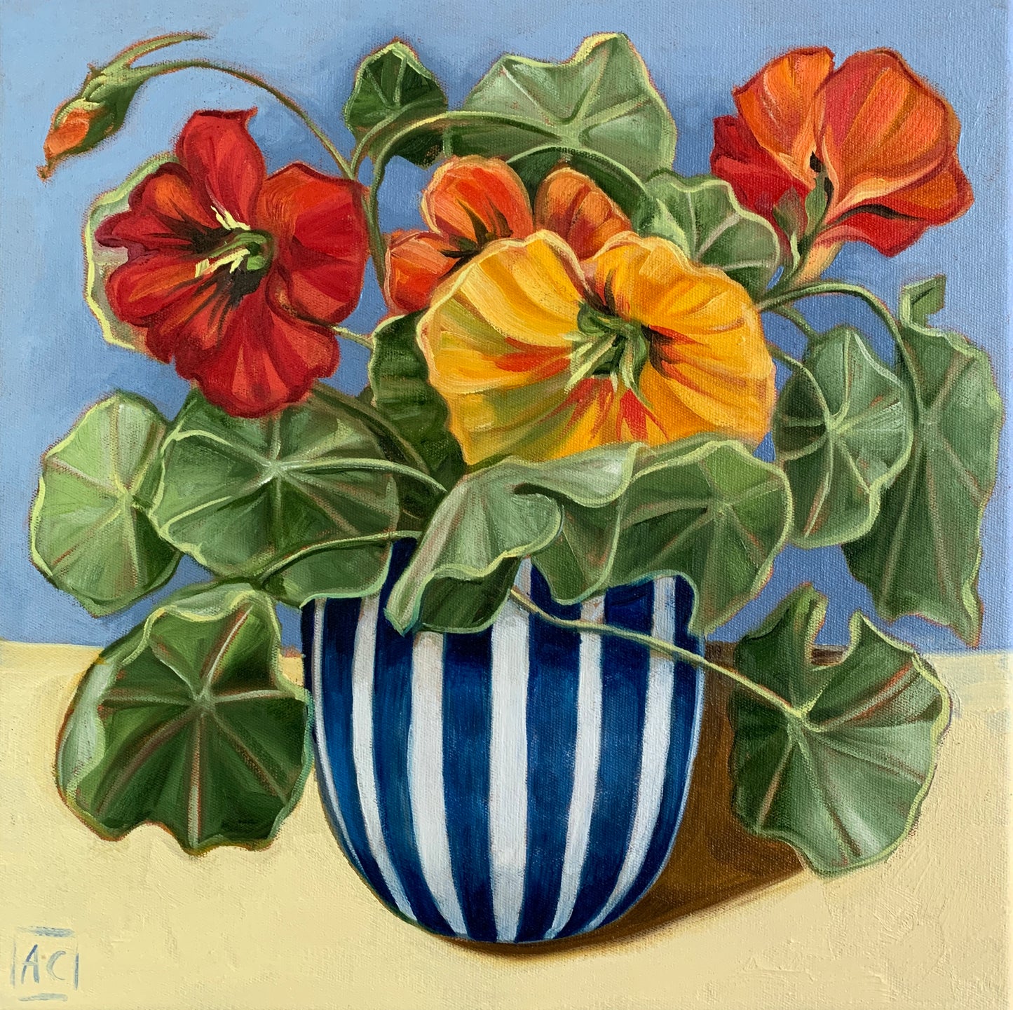 Stripy Nasturtiums - Seed Packet