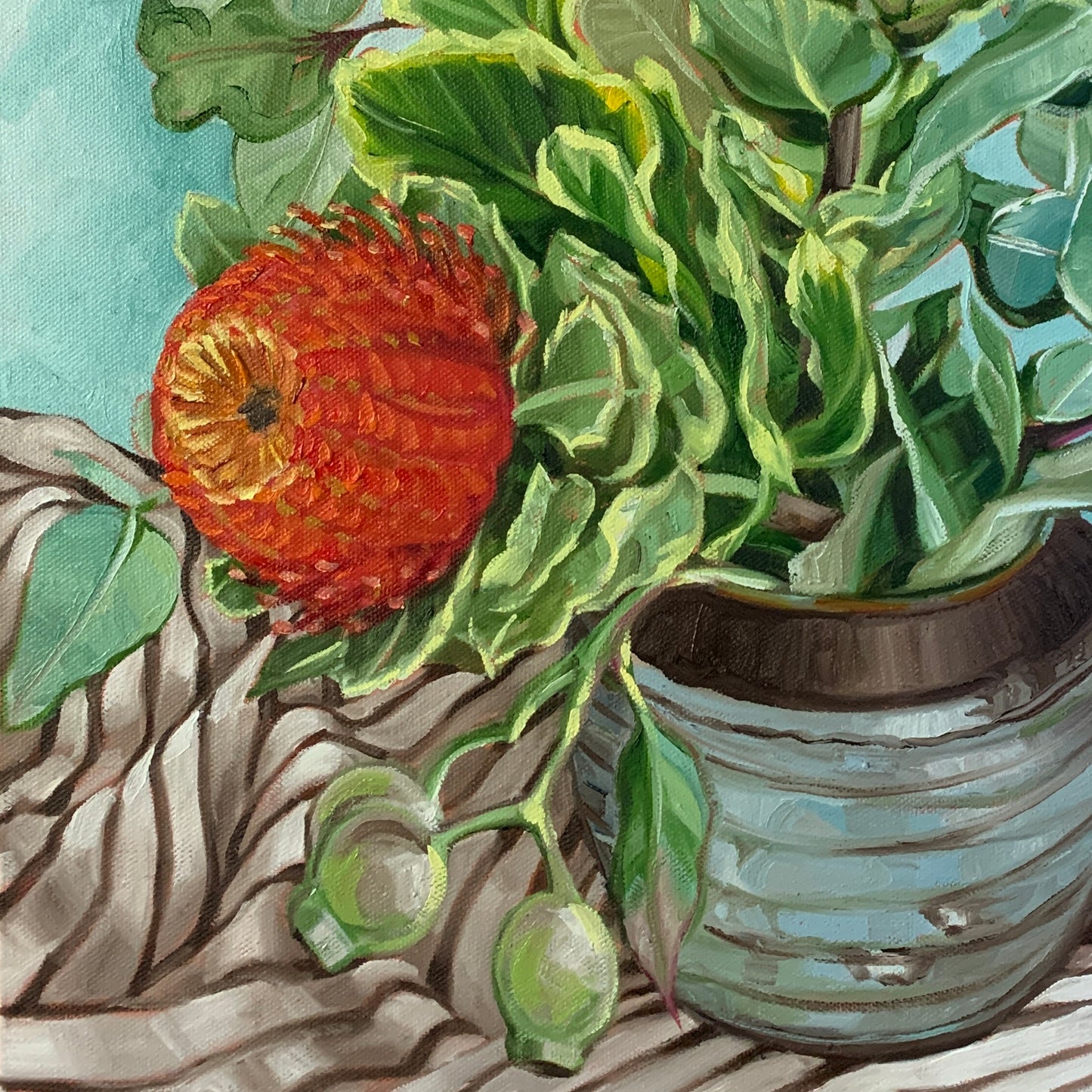 Olinda Banksia coccinea on French Ticking - Available exclusively from Martine Gallery Sydney