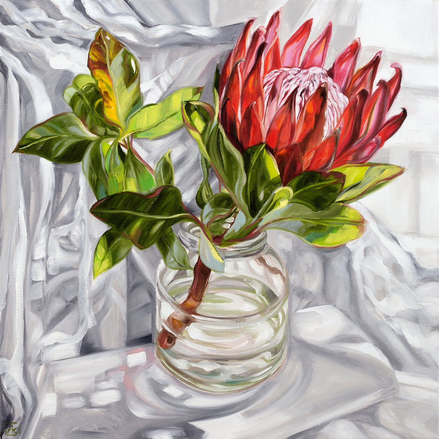 Vintage Actil Sheet Protea glows like a King - LIMITED EDITION GICLEE PRINT Ed. of 25