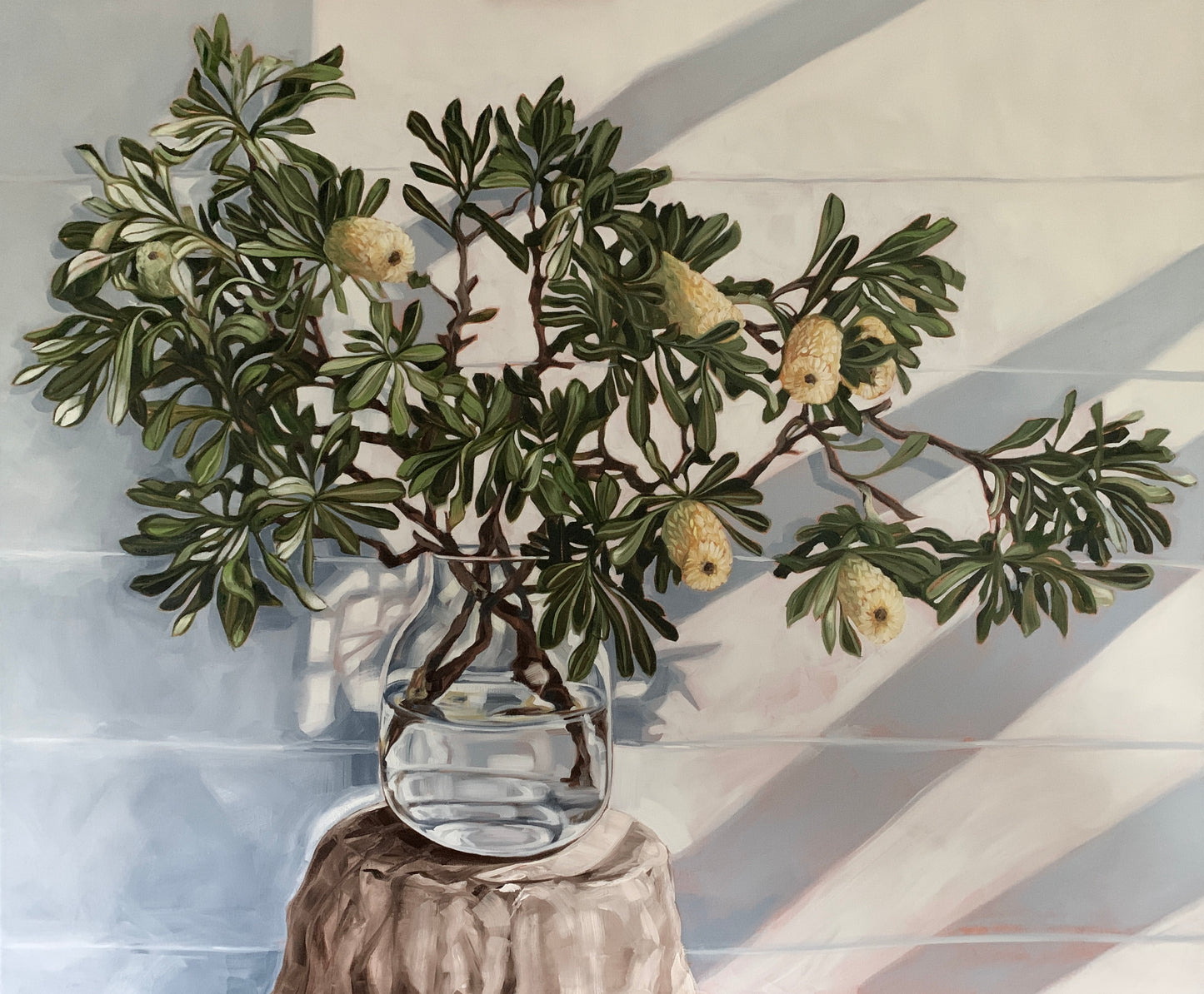 Coastal Banksia and Sun