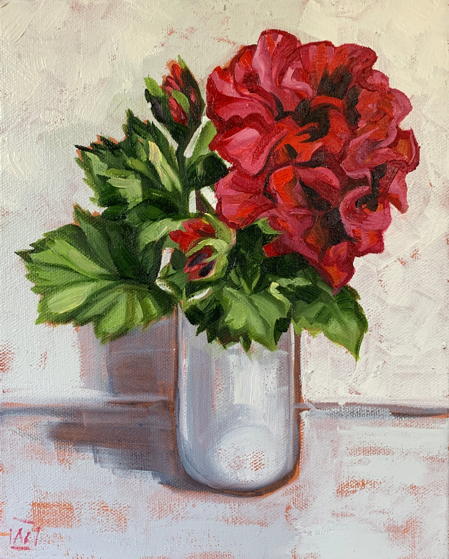Red Pelargonium in White Vase
