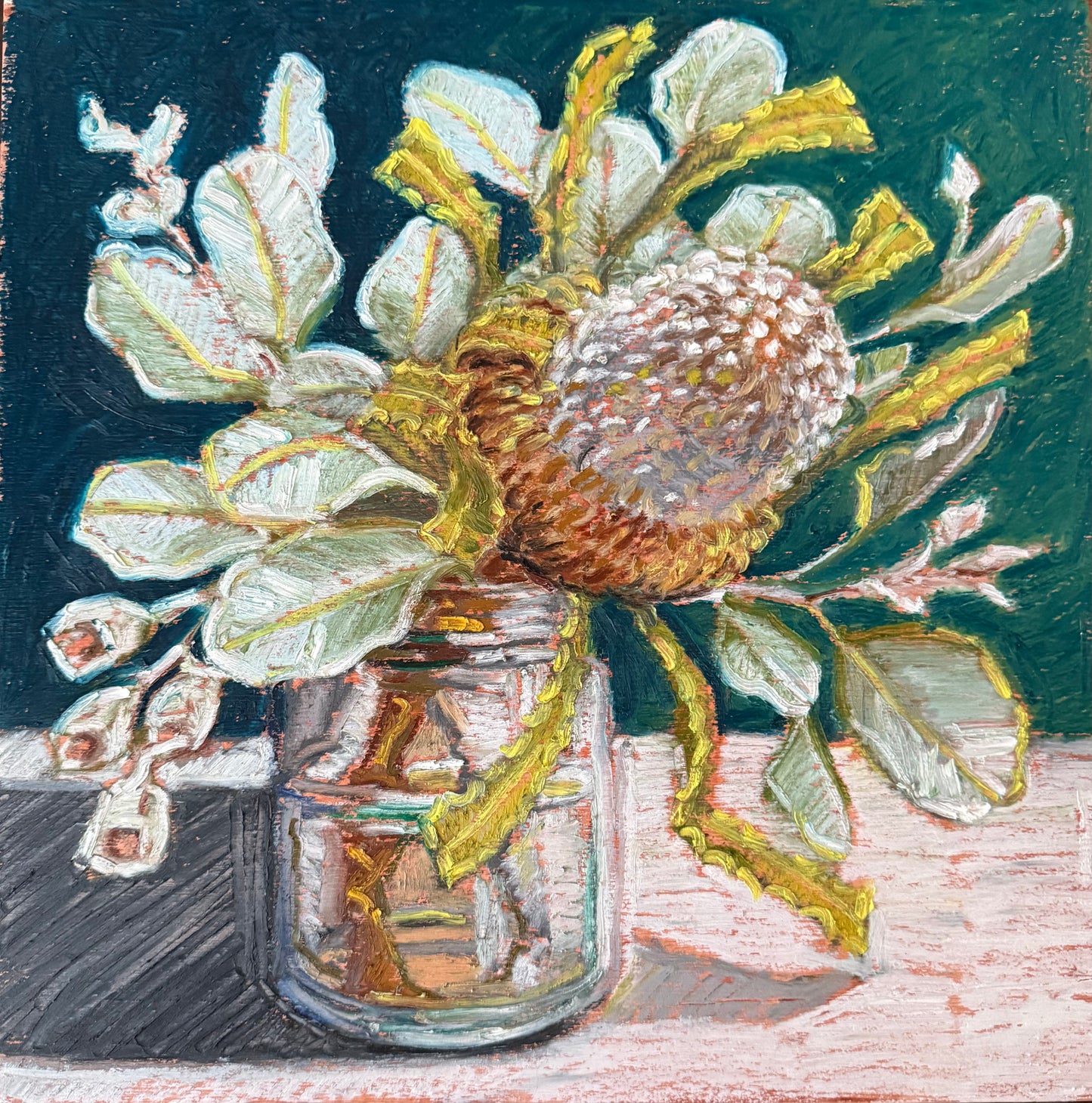 Banksia and white gum nuts study