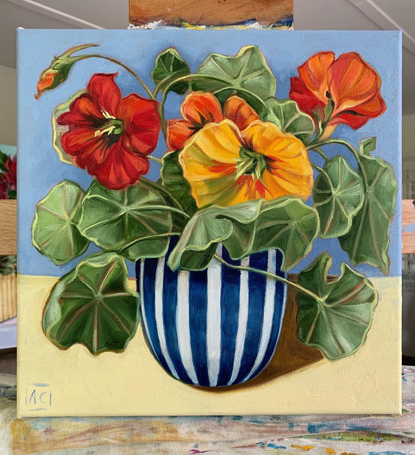 Stripy Nasturtiums - Seed Packet