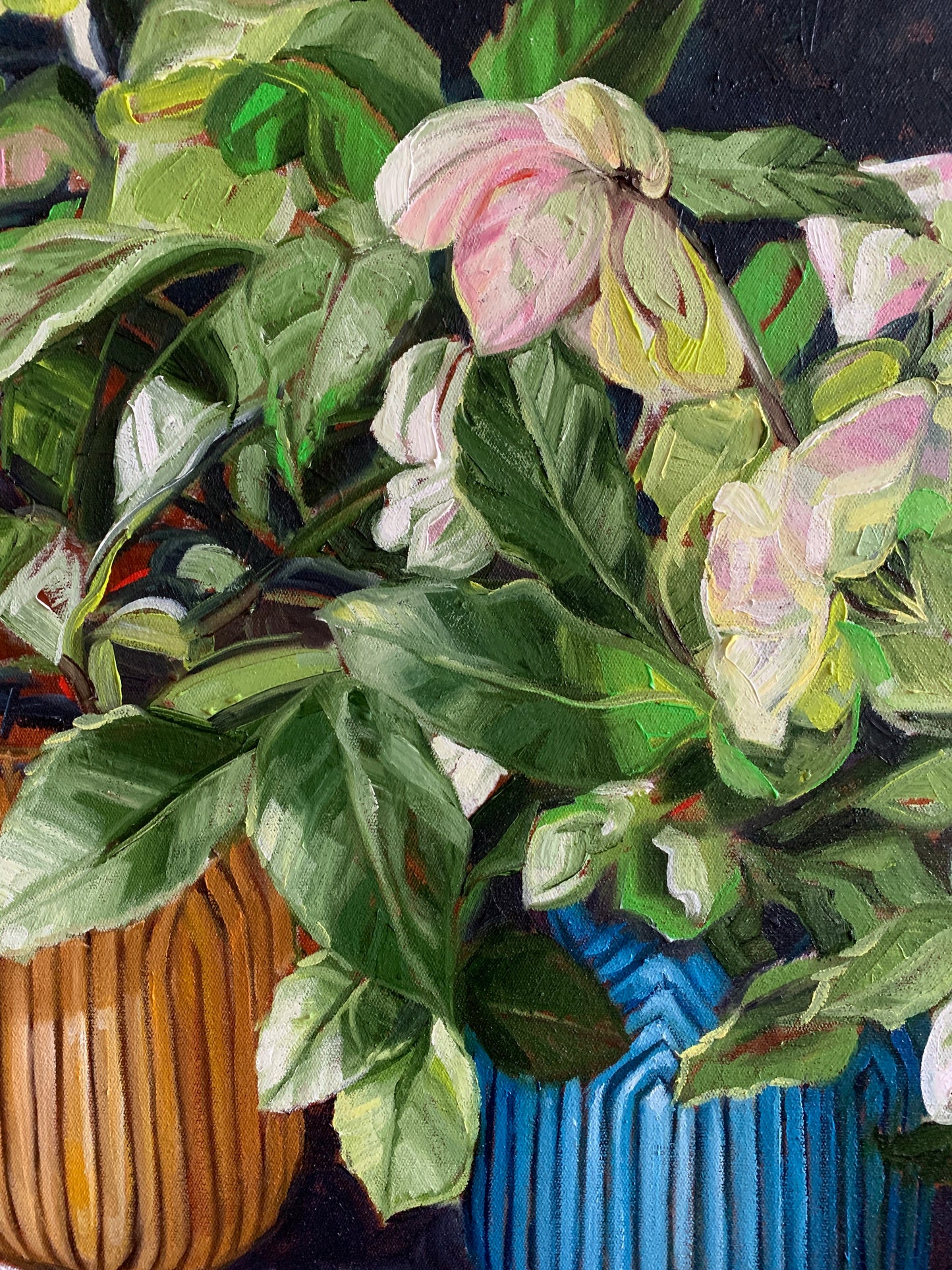 hellebore in shadow - Available in the gallery and online exclusively from ART LOVERS AUSTRALIA