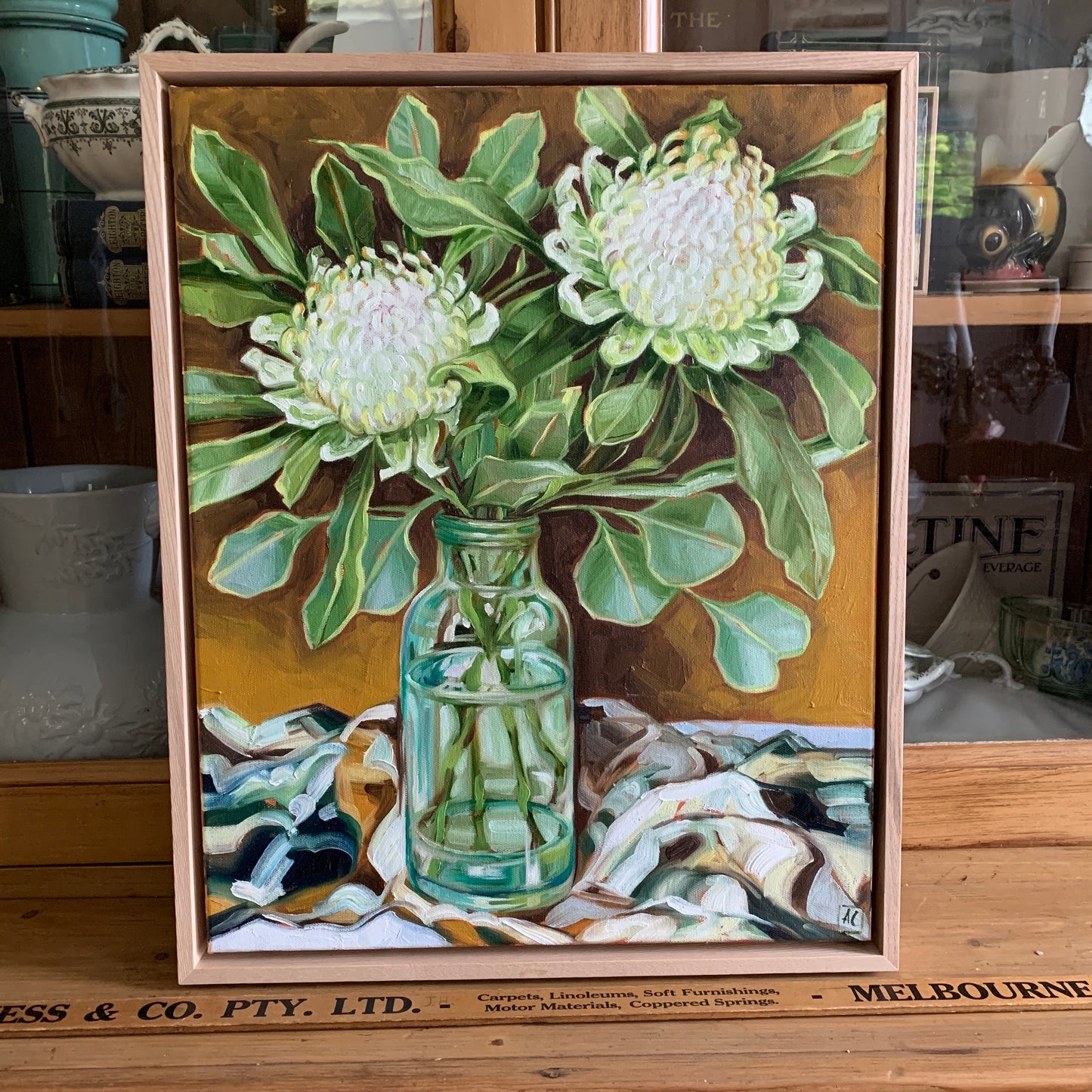 White Waratah in glass