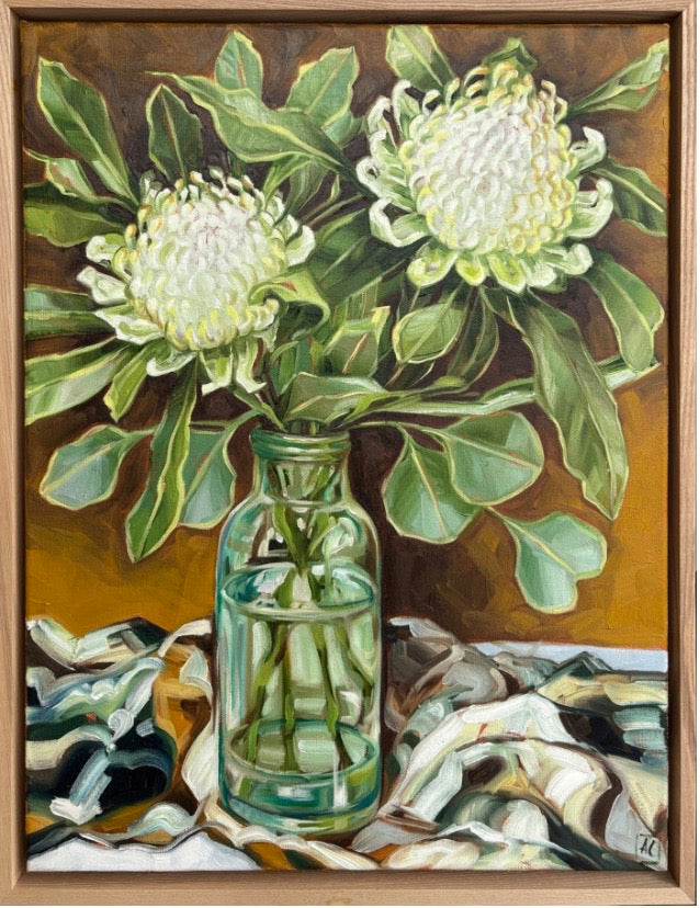 White Waratah in glass
