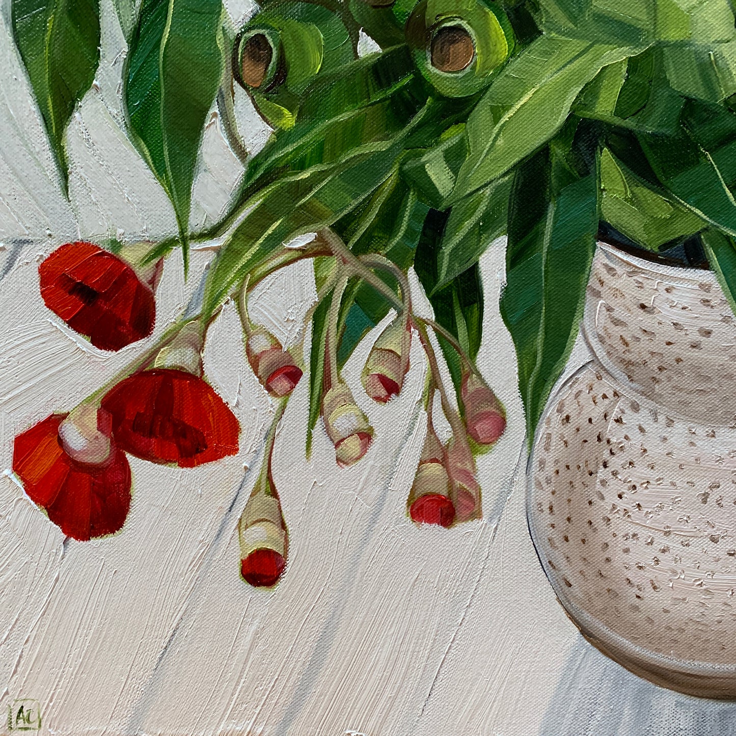 Waratah Banksia on White - Eucalyptus walking