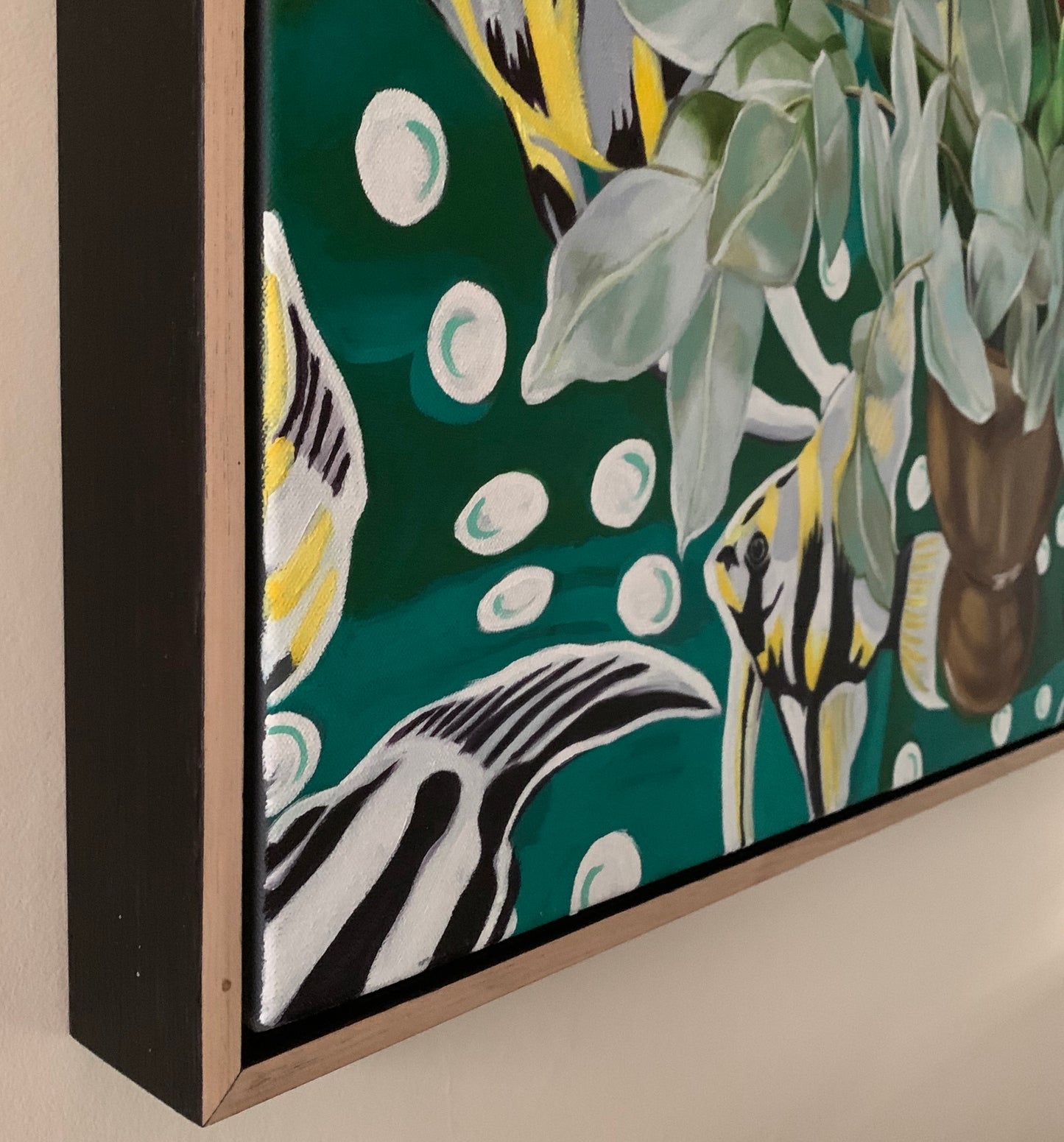 Gum leaves and the Angel Fish