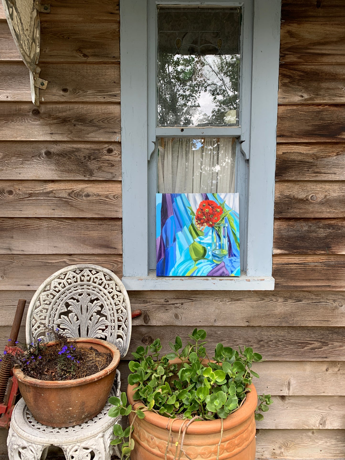 Red Gum blossom and the Seven Seas - Study #2