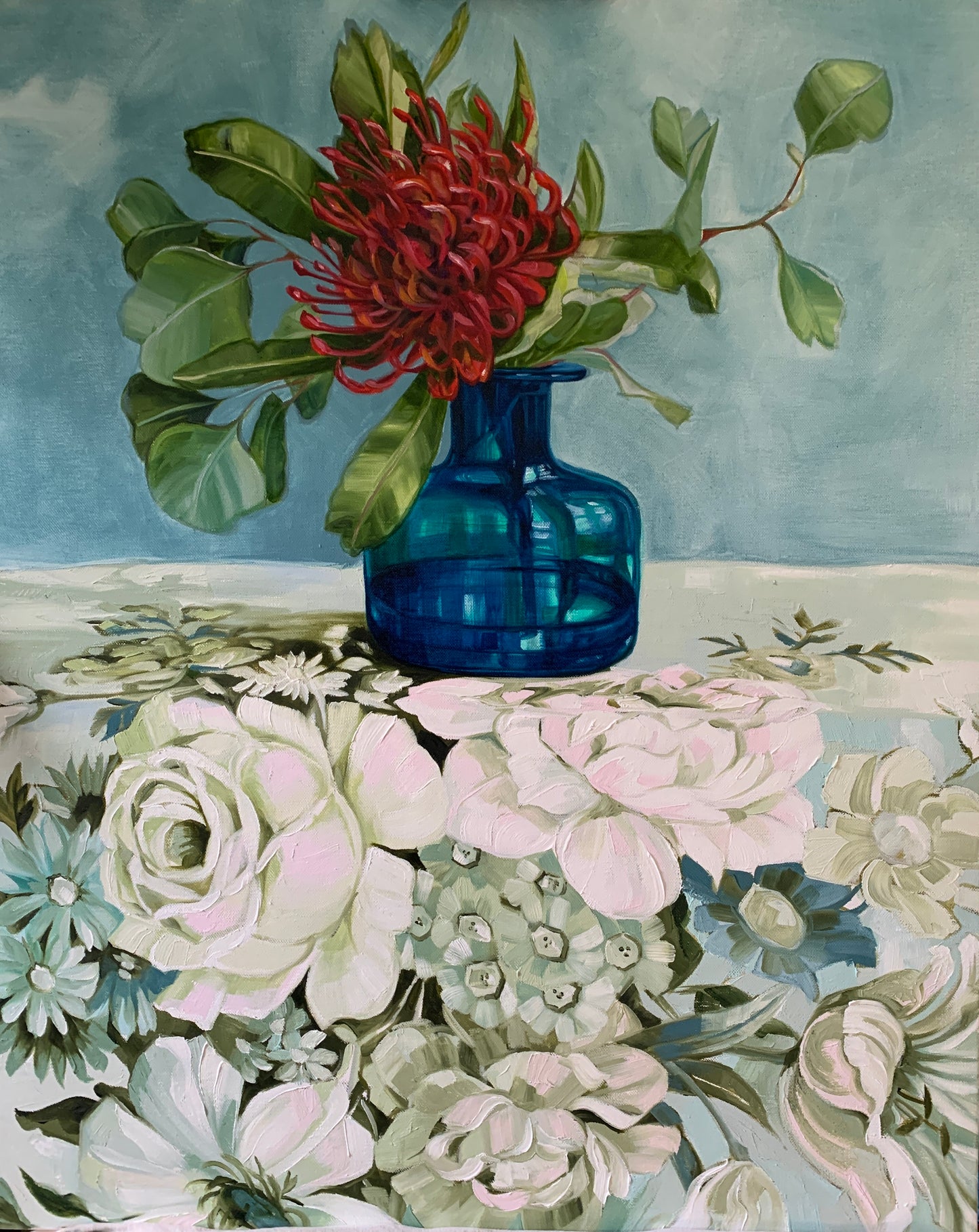 Waratah on Frothy Sanderson