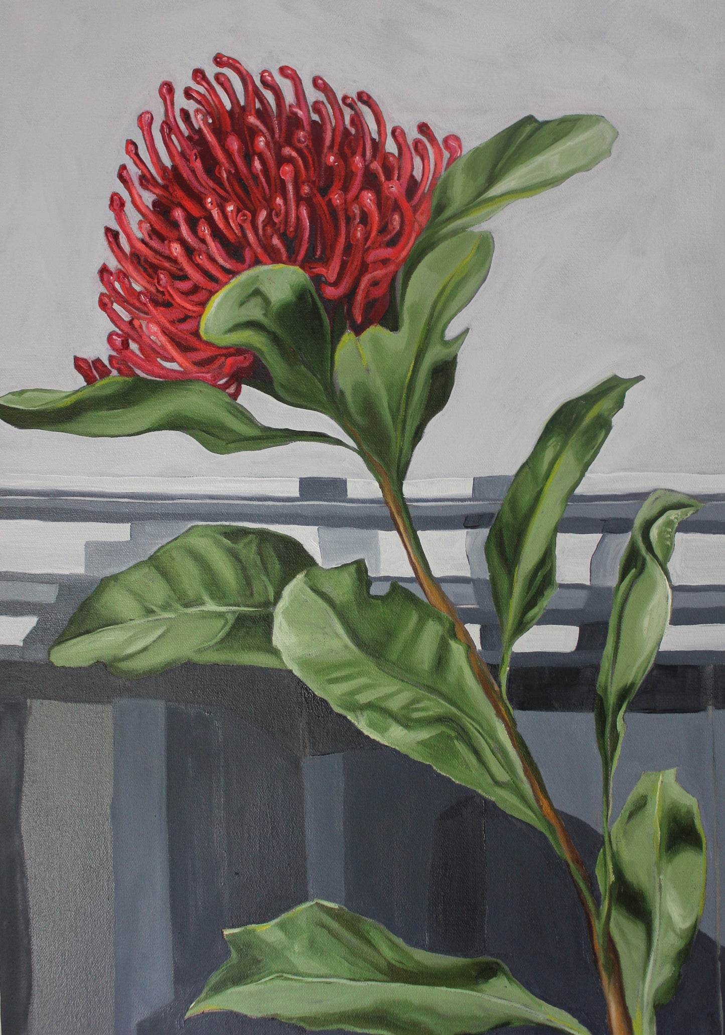 Waratah & Ball Jar - Original oil painting