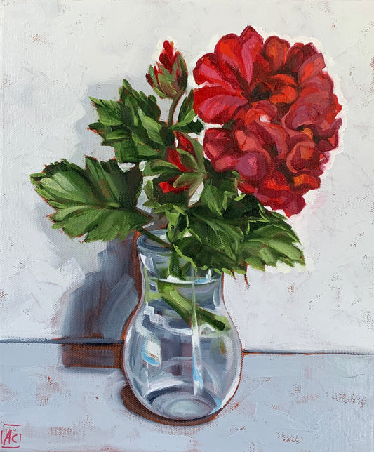 Red Pelargonium in Glass