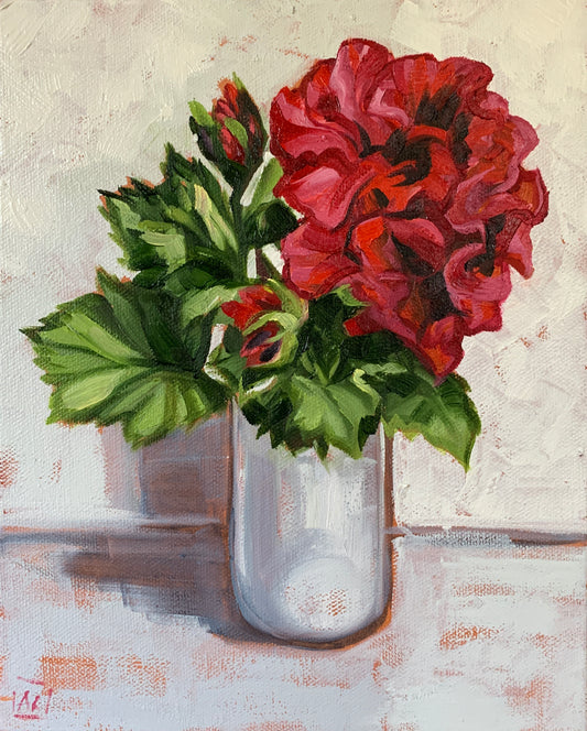 Red Pelargonium in White Vase