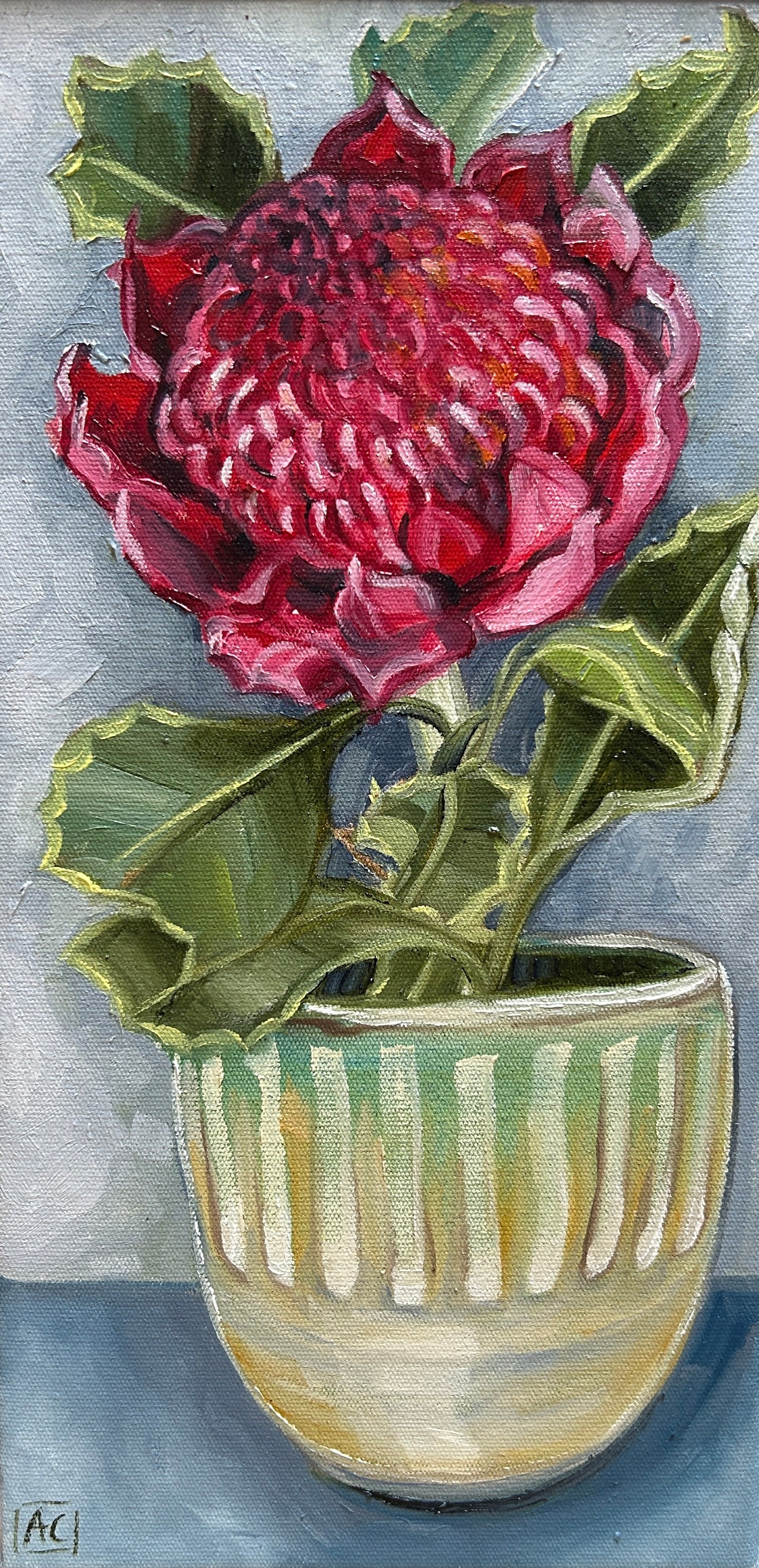 Waratah and Mb Pottery