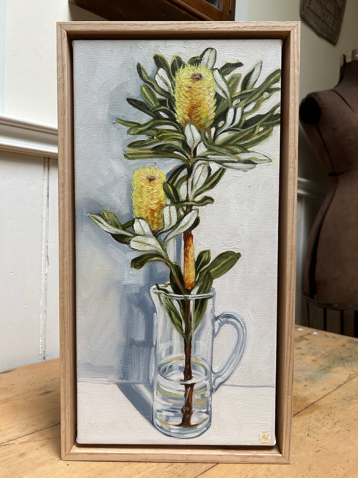 Banksia in Glass Jug