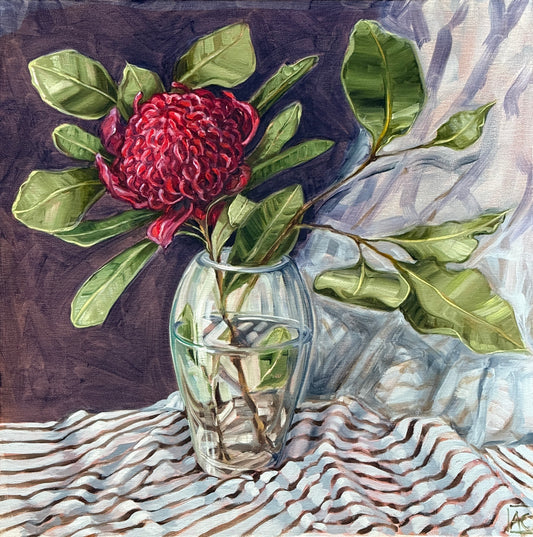 A rose by any other name (Waratah study)