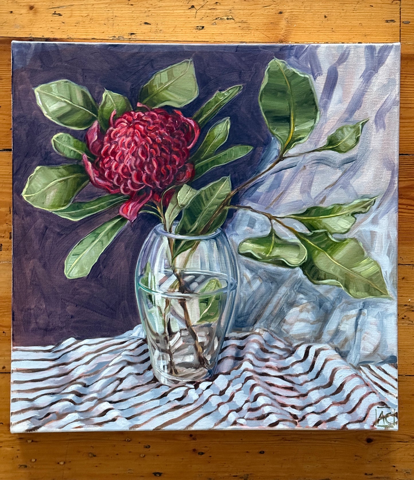 A rose by any other name (Waratah study)