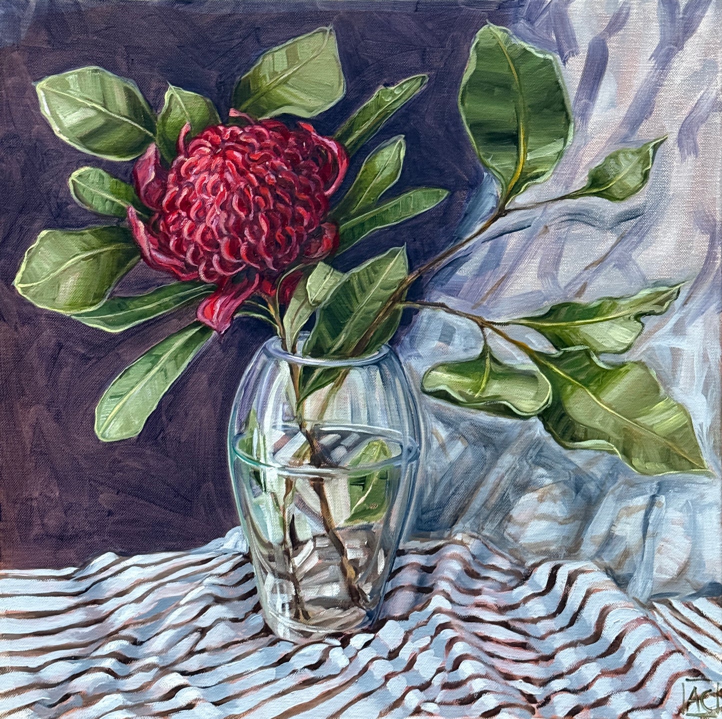 A rose by any other name (Waratah study)