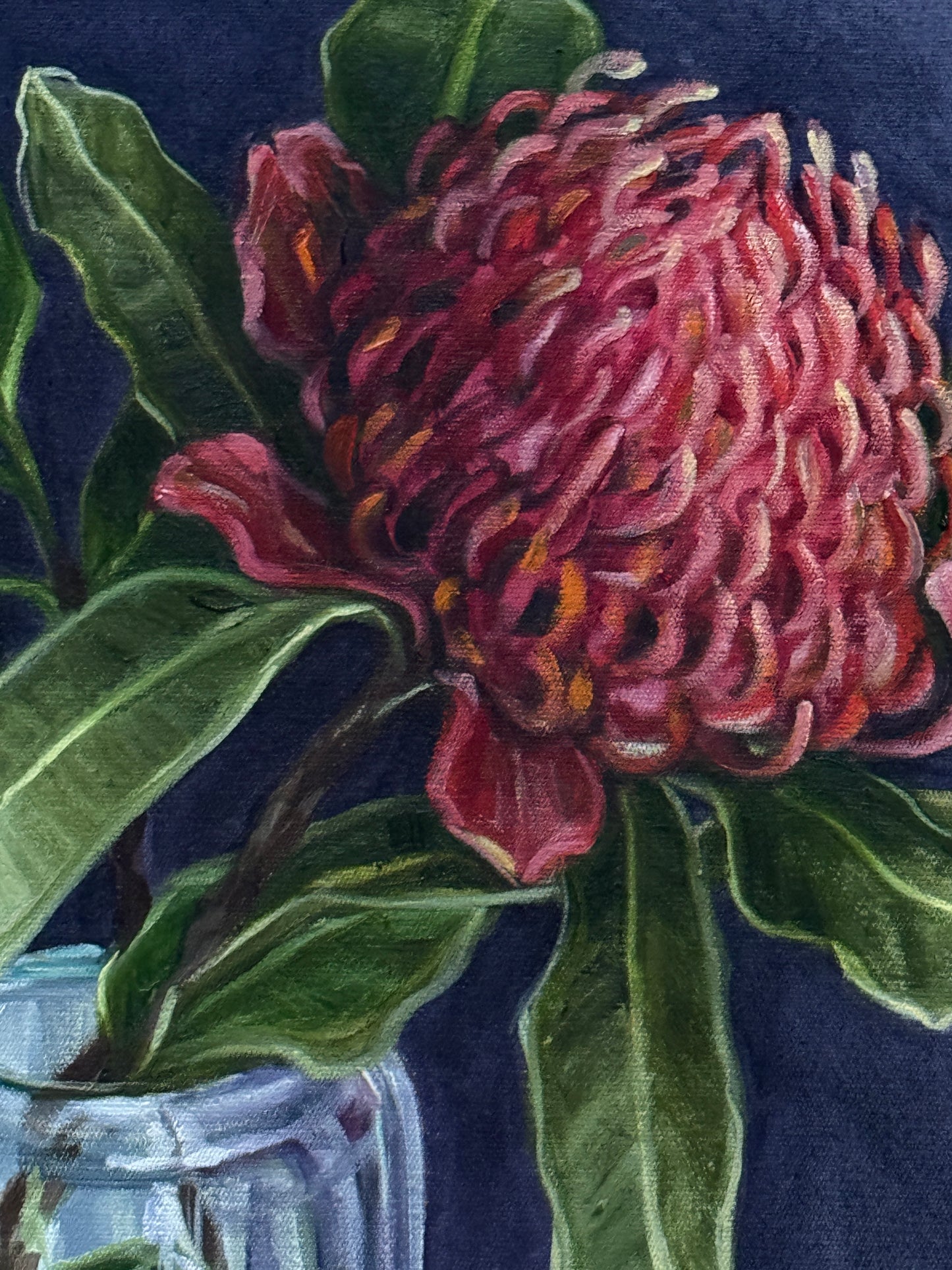 A rose by any other name (Waratah study) 2