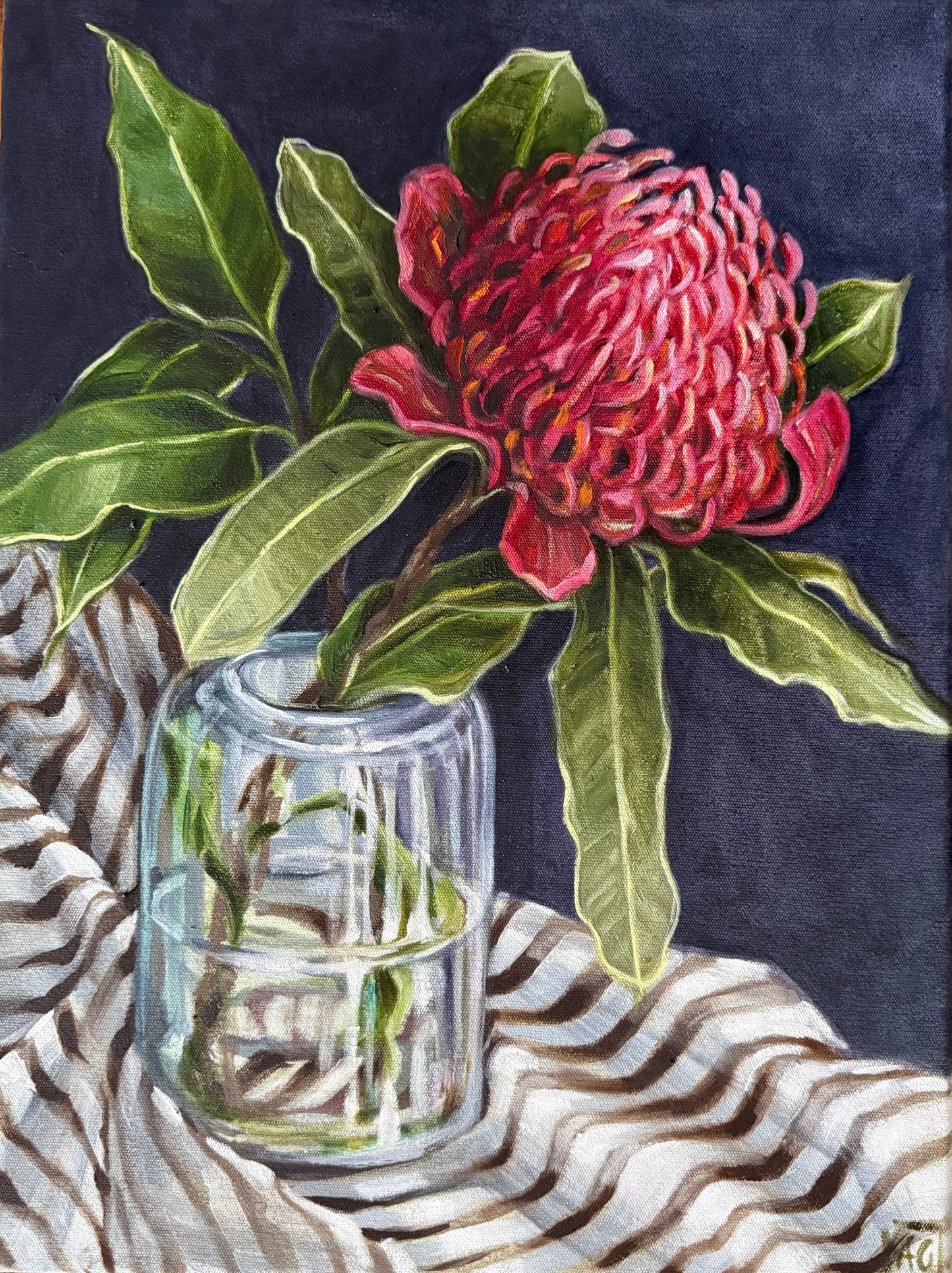 A rose by any other name (Waratah study) 2