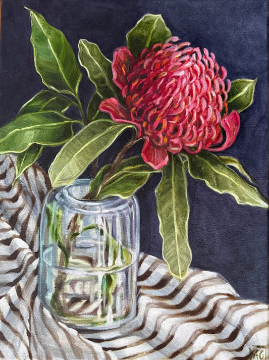 A rose by any other name (Waratah study) 2