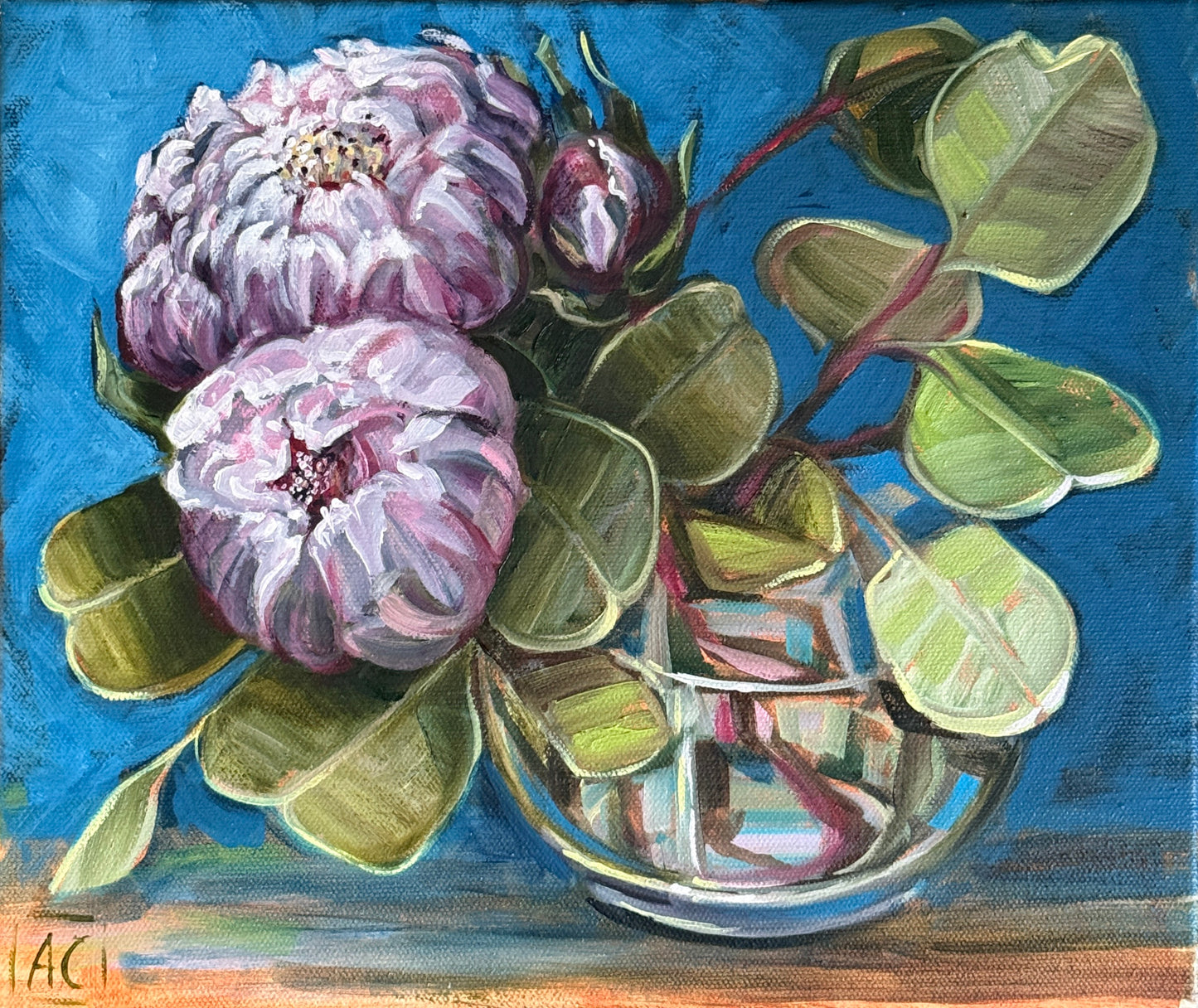 White Peony and dollar gum