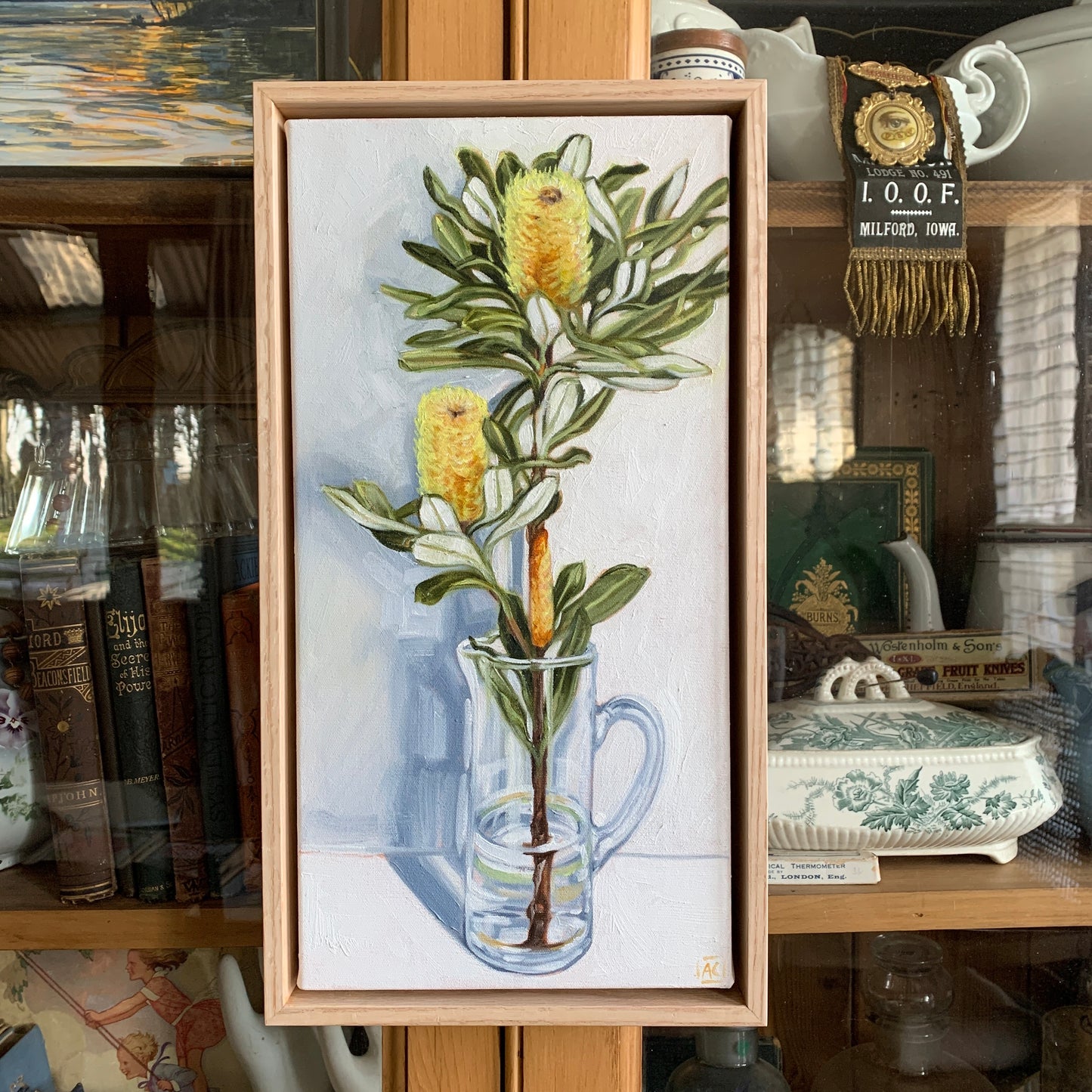 Banksia in Glass Jug