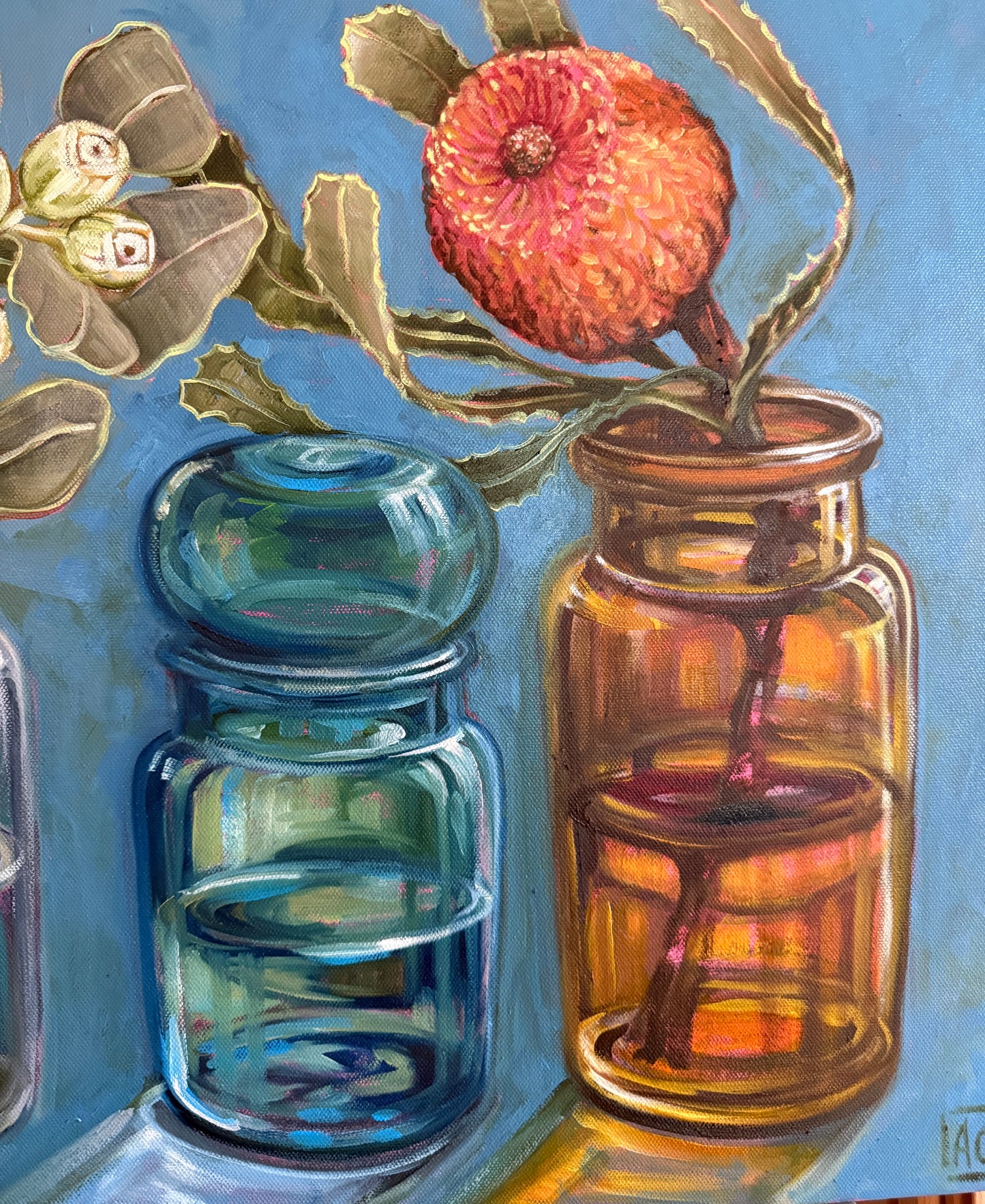 Belgian bubble jars and Banksia