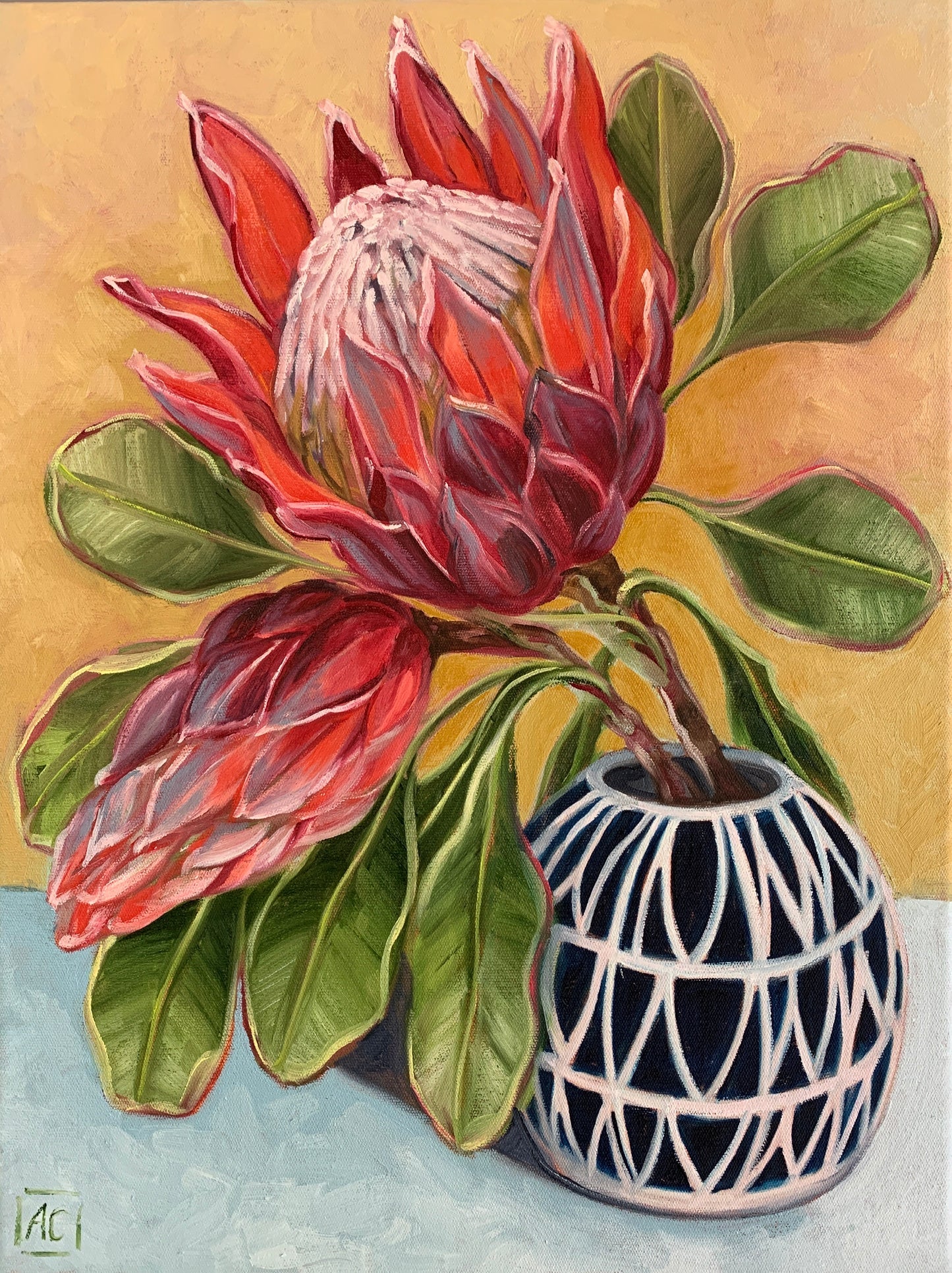 Protea in blue vase