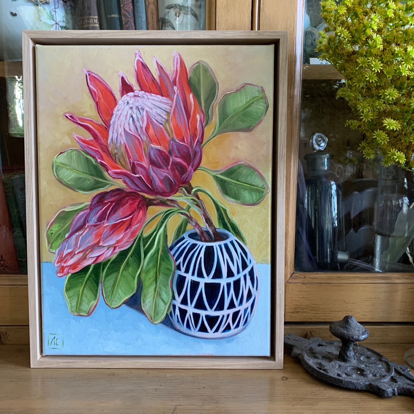 Protea in blue vase