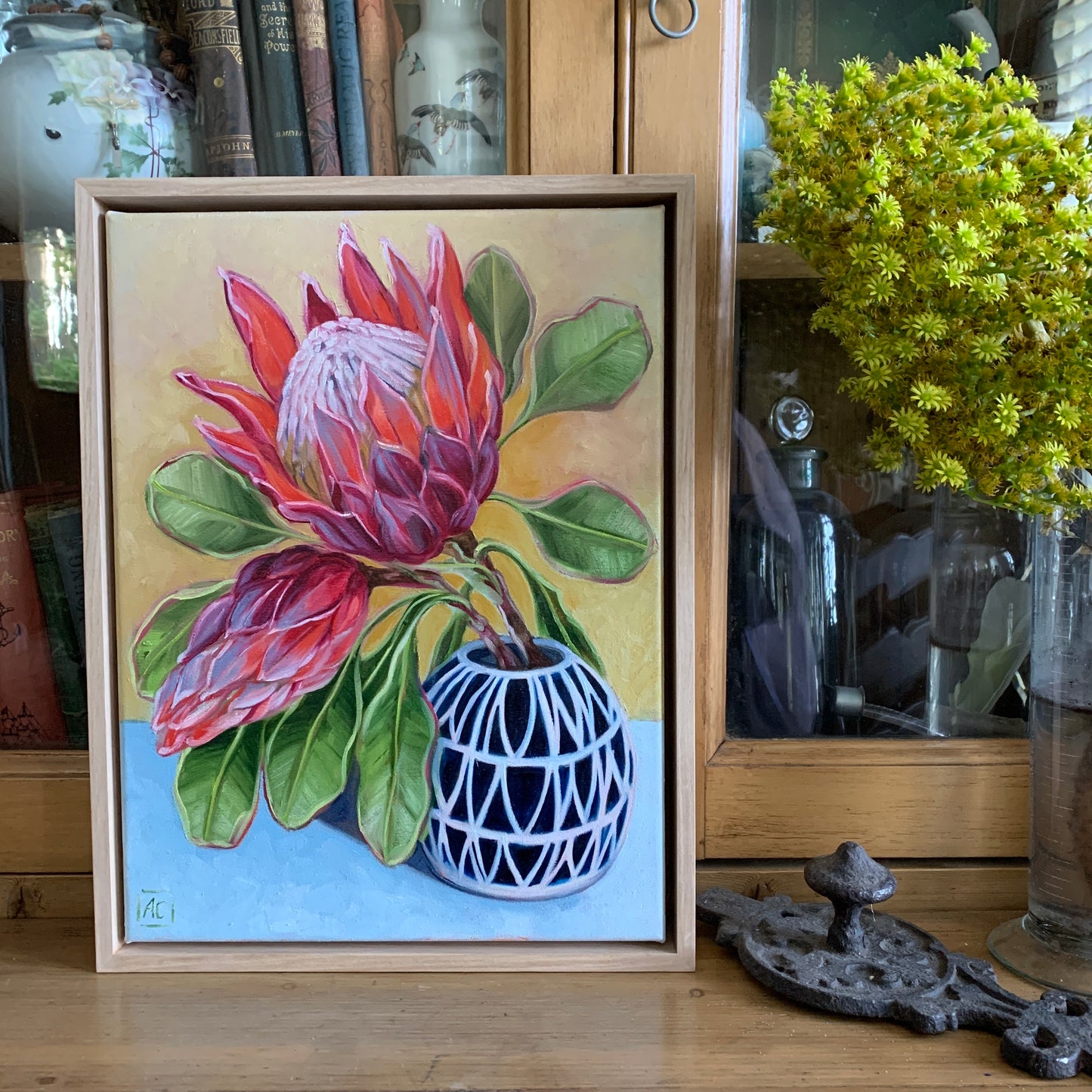 Protea in blue vase