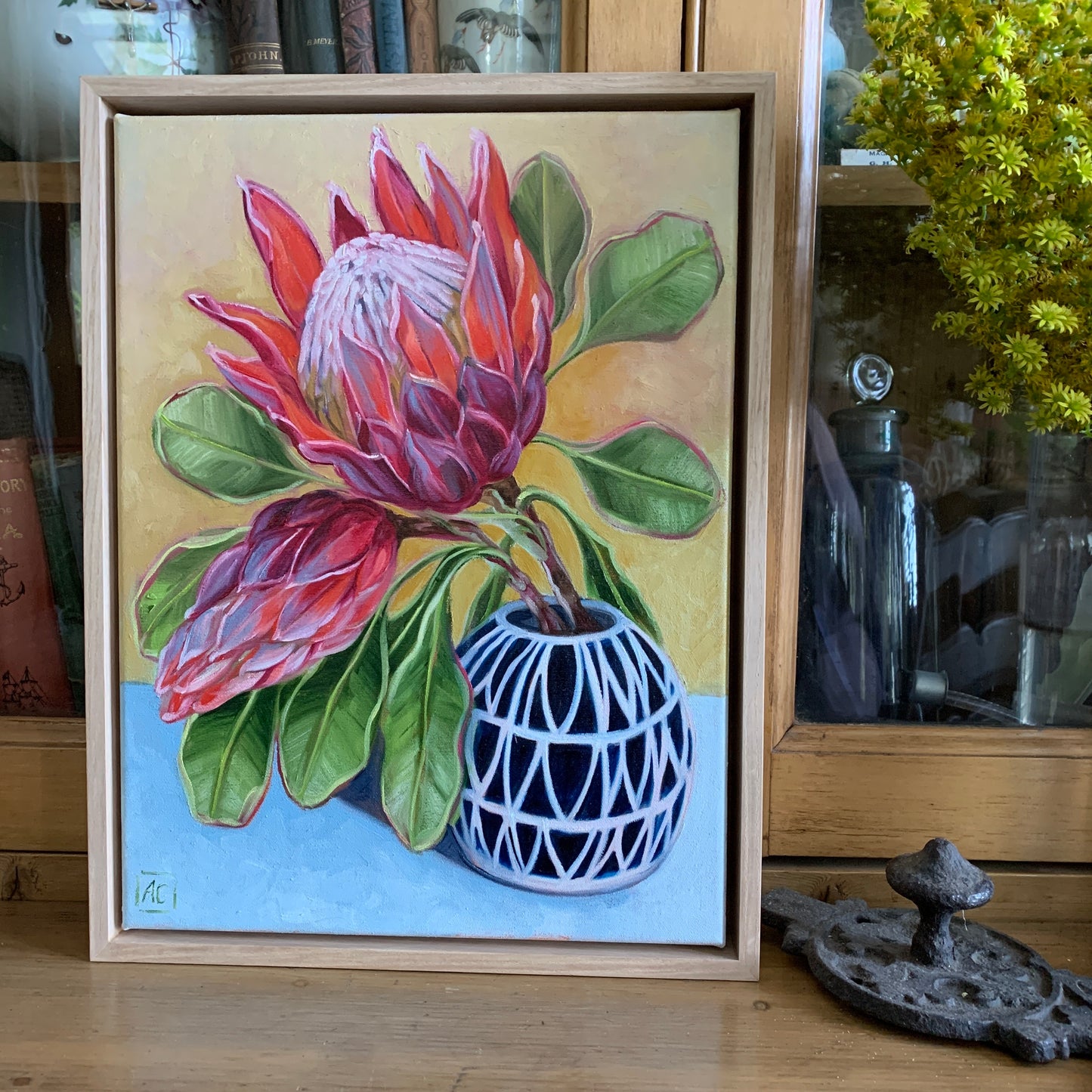 Protea in blue vase