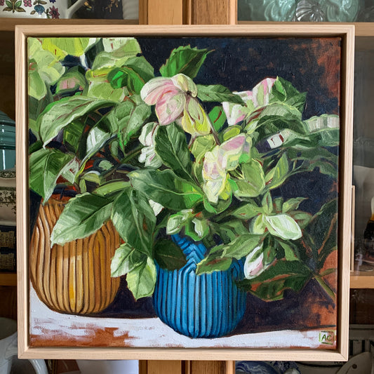 hellebore in shadow - Available in the gallery and online exclusively from ART LOVERS AUSTRALIA