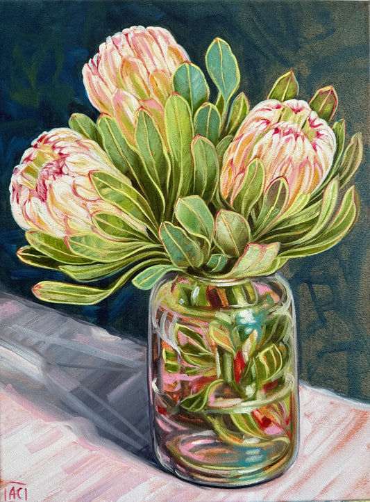 Three protea
